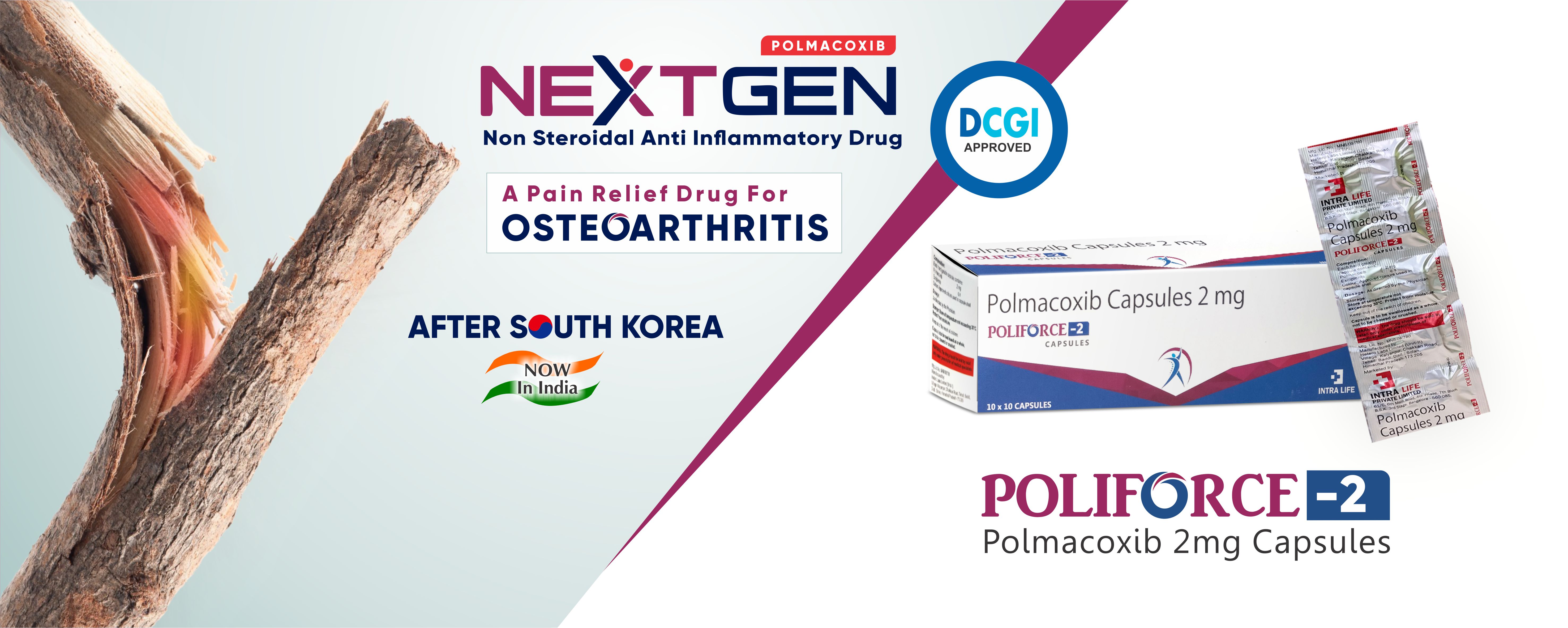 Top 10 PCD Pharma Companies in India